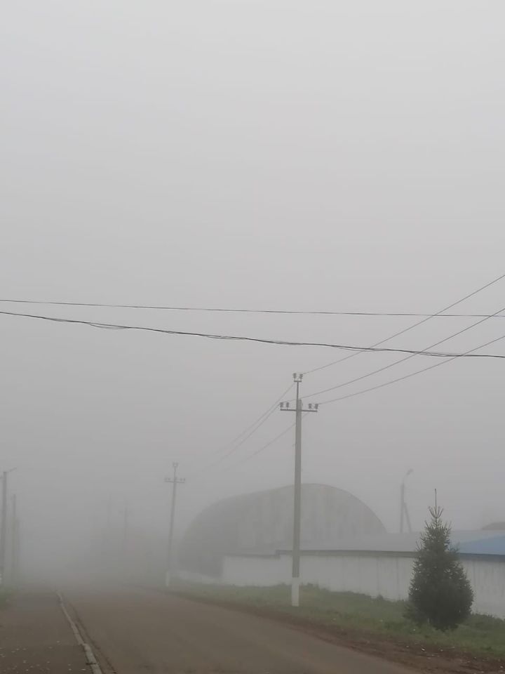 ГИБДД Татарстана советует водителям, как безопасно ездить в дождь и гололедицу