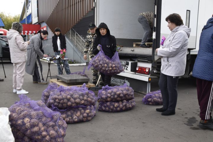 1 ноябрь көнне Минзәләнең Октябрь мәйданында  ярминкә була