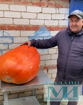 Житель Мензелинска Рамзиль Халиуллин стал автором настоящего огородного чуда