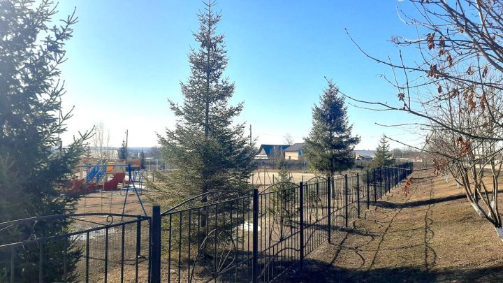 Мензелинцы могут принять участие в экологическом конкурсе «Эковесна −2025»