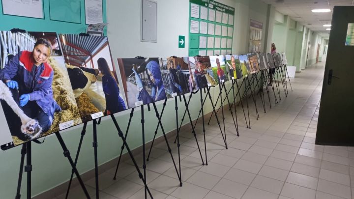 В Мензелинском сельхозтехникуме работает фотовыставка