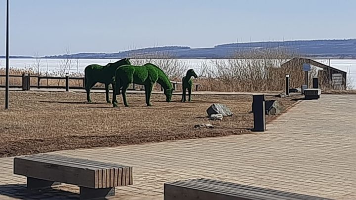 В Мензелинском районе проходит конкурс школьных газет «Моя малая Родина»
