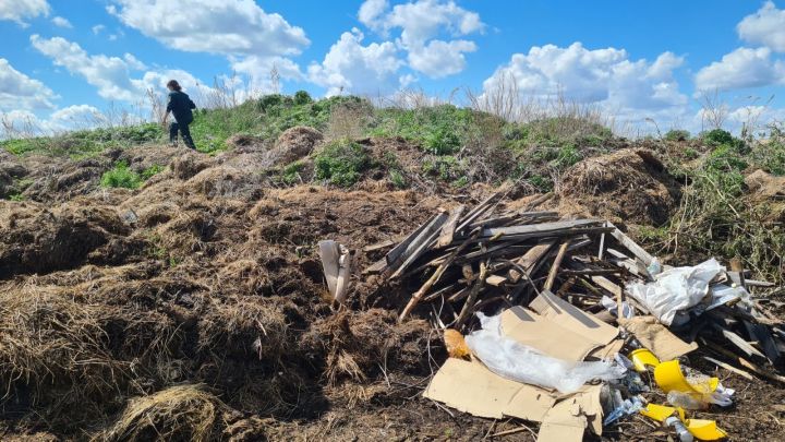 В ходе рейдов в Мензелинском районе выявлены нарушения природоохранного законодательства