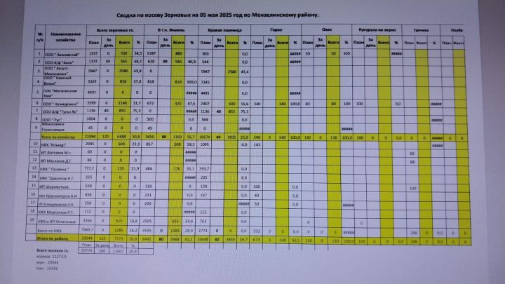 В Мензелинском районе активно ведутся посевные работы