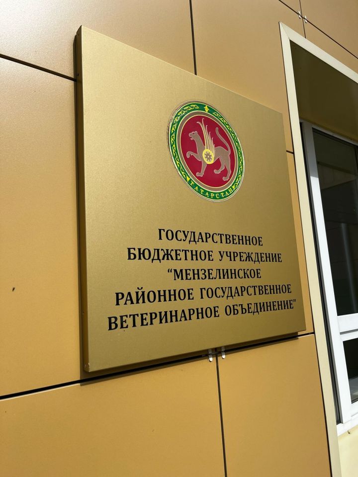 Теленок с Авито без документов: чем закончился случай в Мензелинском районе