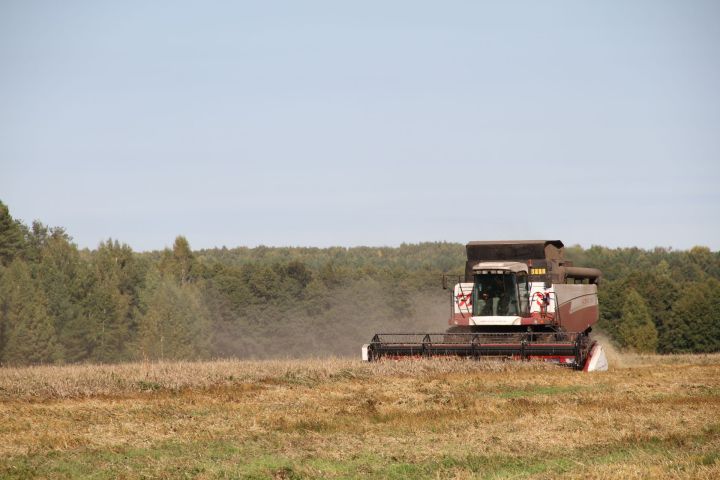 Хлеборобы Мензелинского района собрали 159 тыс. тонн зерна