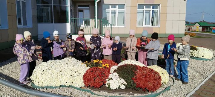 Маленькие садоводы из детского сада «Шатлык» вырастили цветочную красоту