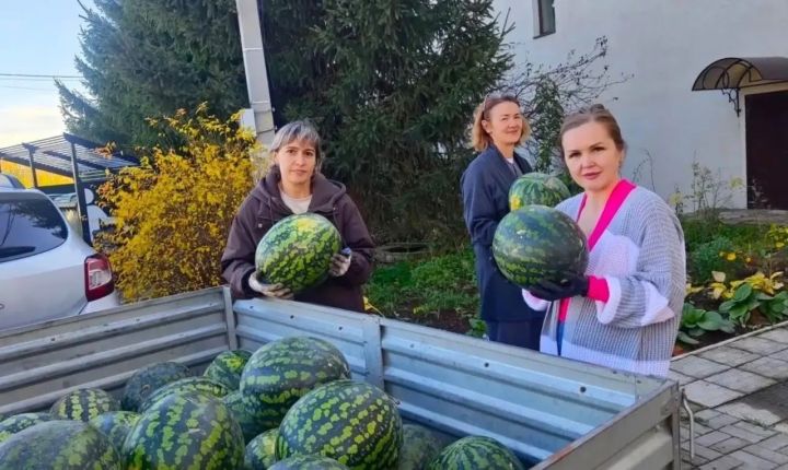 Мензелинский благотворитель угостил арбузами более 200 человек