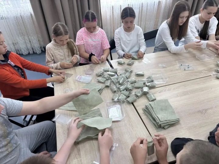 В Мензелинской центральной библиотеке прошел патриотический урок «Доблесть фронта и тыла»