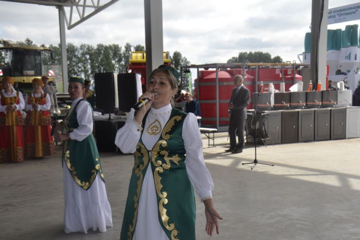 Мензелинский район принимает Федеральный день поля
