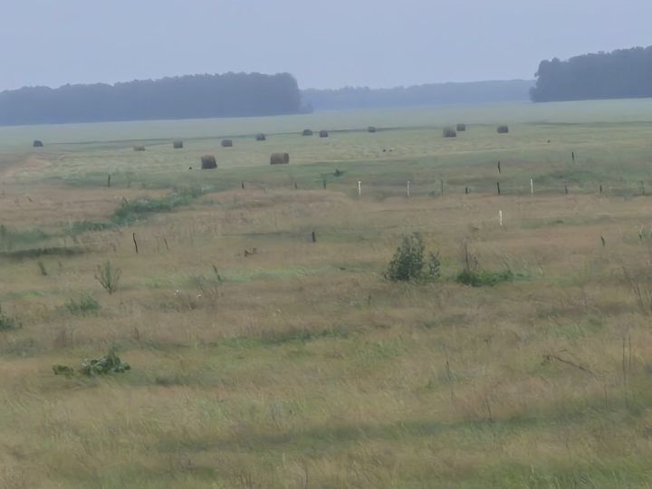 Дожди нужны, но мешают заготовке сена