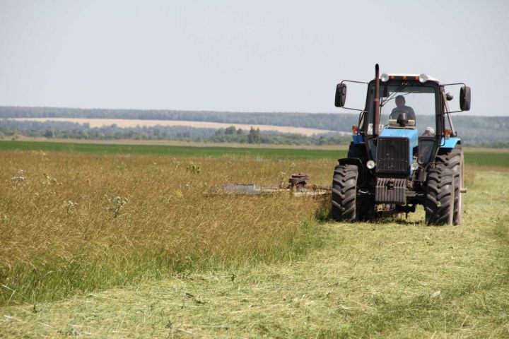 В Мензелинском районе дожди мешают сельчанам заготавливать сено