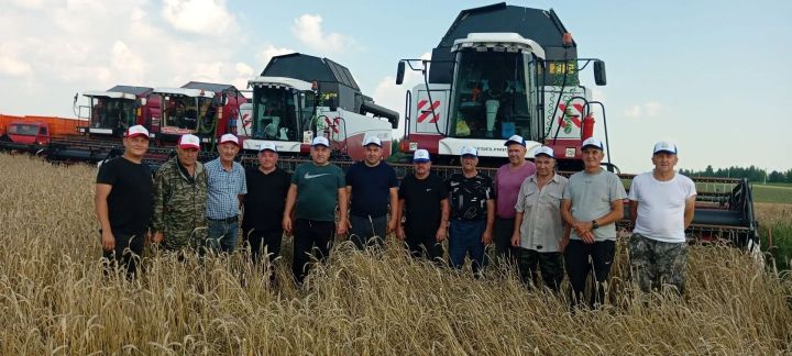 В ООО «Заиковский» Мензелинского района начали уборку семенной озимой пшеницы
