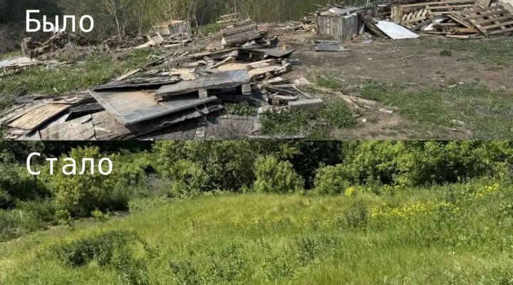 В Мензелинском районе ликвидировали свалку