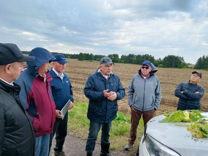 В «Заиковском» подсолнух пострадал от совки, в «Калмурзино» возводят телятник