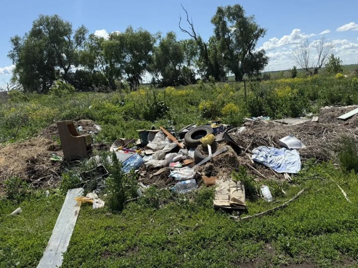 Свалка площадью более 3 тысяч квадратных метров выявлена в Мензелинском районе
